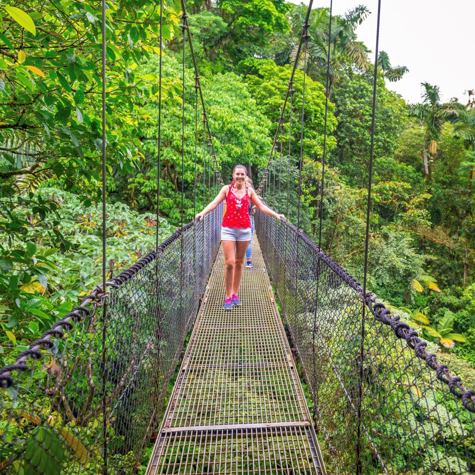 Hanging Bridge